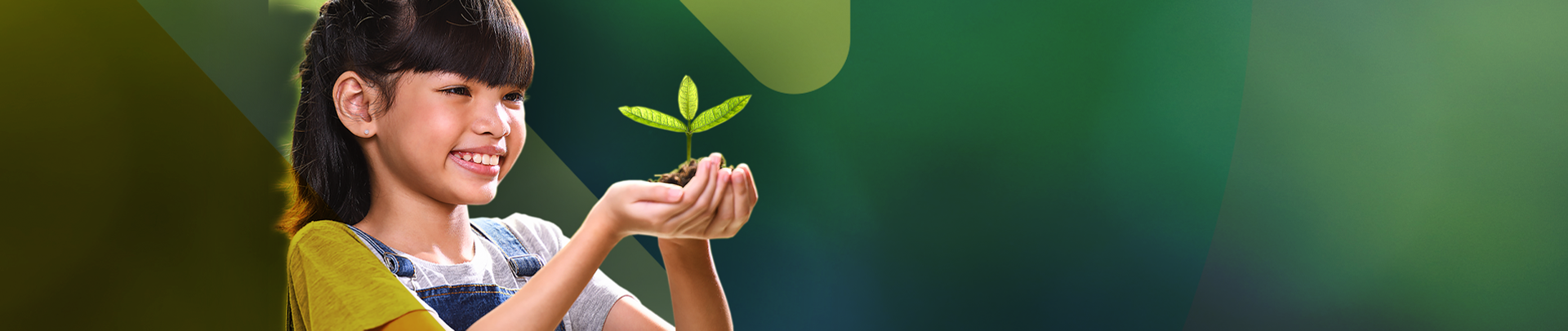 Bione Fertilizantes